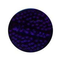 Эмаль холодная NICEM TR.5013 1кг (прозрачная/кобальт)