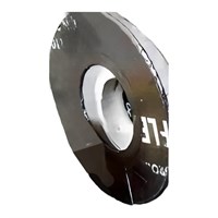 Шайба графитовая d=68х1 GU-500-Micro INDUTHERM 23001676