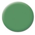 Эмаль COLORIT непрозрачный глубокий зеленый Deep Green, 18 гр. - фото 10169